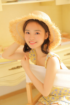 疯狂的蠢贼